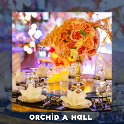 Orchid A Hall