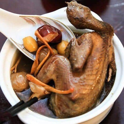 Bồ câu tiềm sâm